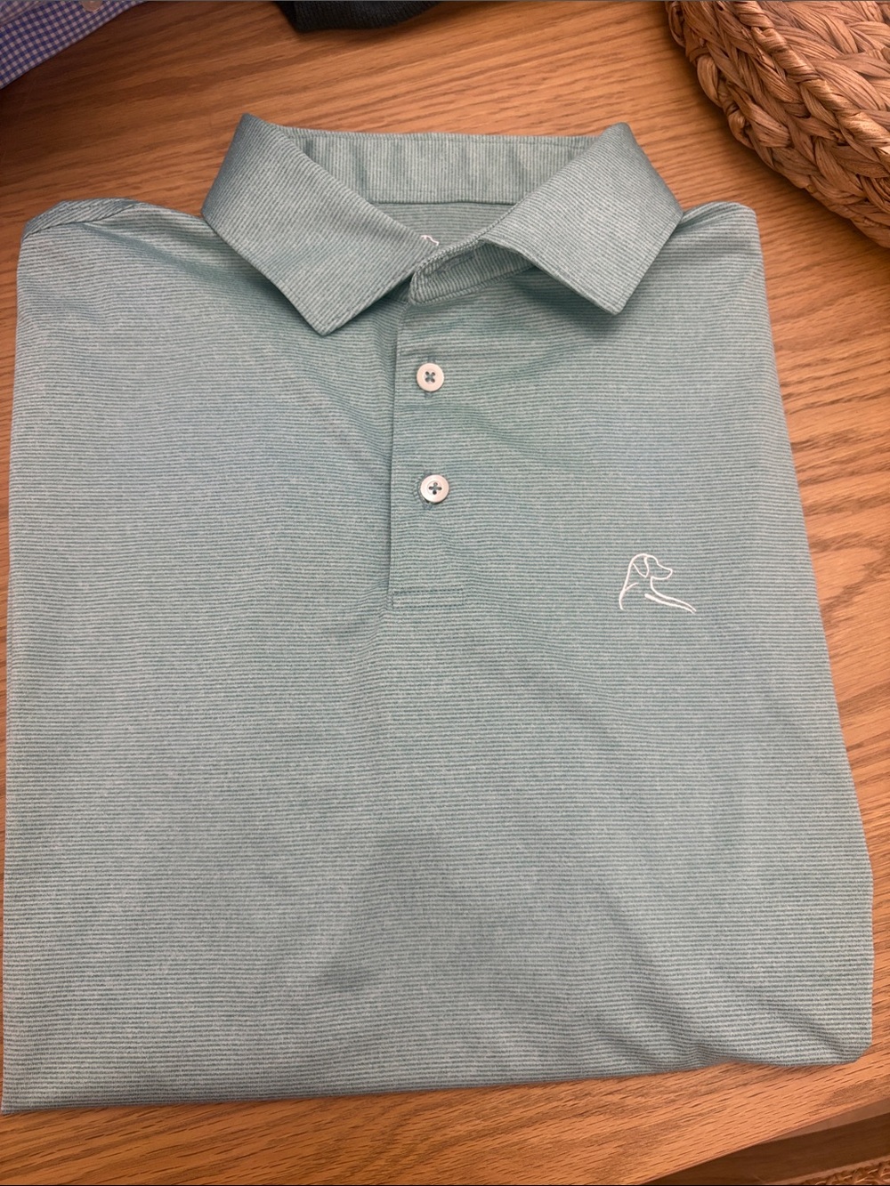 Rhoback Men's Sage Green striped Polo Shirt